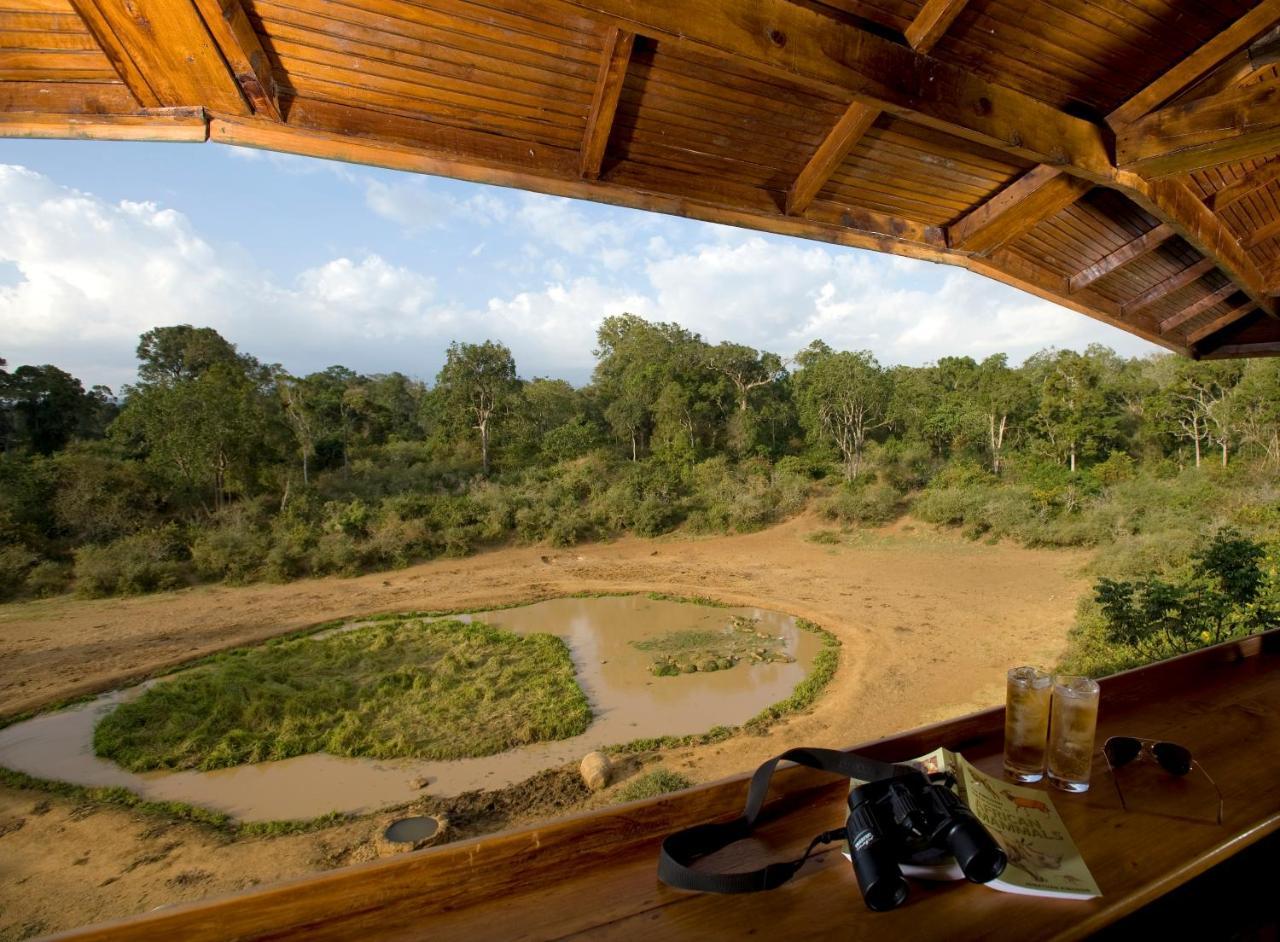 Serena Mountain Lodge Kabaru Εξωτερικό φωτογραφία